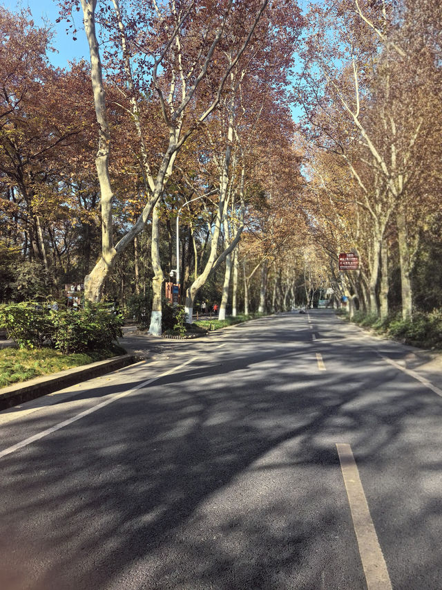 色彩繽紛的淮扬菜 色彩繽紛的淮扬菜