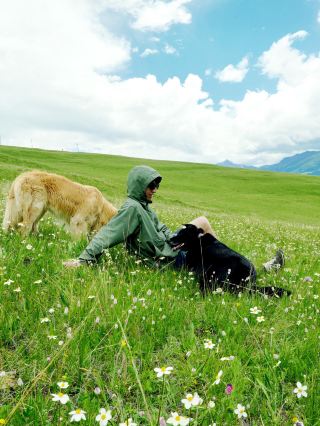 Dan Dao Secret Realm｜Step into Hayao Miyazaki’s Summer Comic World