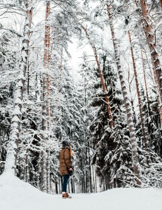 瀋陽 3 天 2 夜賞雪攻略瀋陽的冬天,是銀裝素裹的童話世界!?