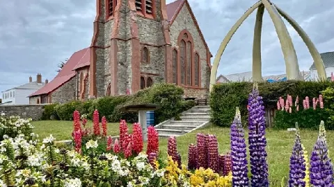 Stanley: A Romantic Getaway in the Falkland Islands — traveler post in Stanley