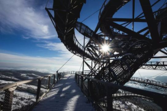 Stepping into the Czech Republic's clouds, the wooden boardwalk meanders like butterfly wings.