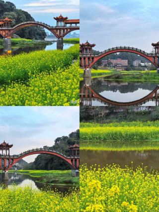 3月の天井小旅行！この4つの都市に3〜4日滞在