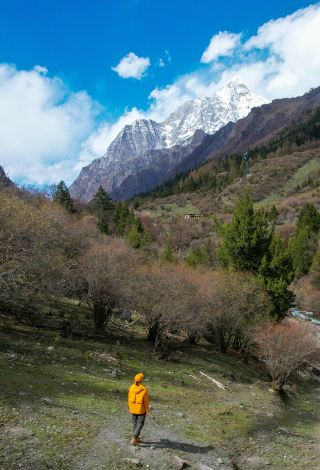 Siguniang Mountain Changping Valley | The ceiling is so soothing for beginners on a light hike.