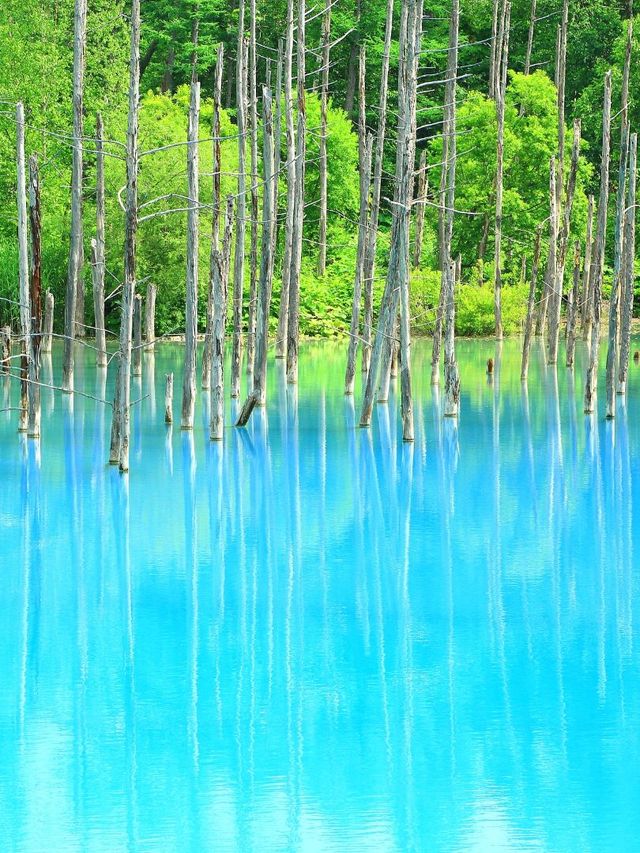 端午限定用7天玩轉日本碼住
