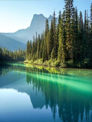 Private Small Group Tour for 6 to Banff! Airport/City Hotel Transfers