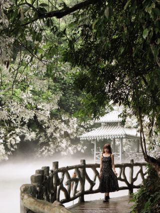 คนกวางตุ้งไปเที่ยวพักผ่อนช่วงฤดูร้อนที่ไหน? ที่ซวงหลงโกว ในเมืองหรงสุ่ย!