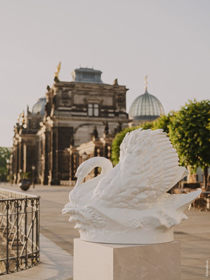 300 years ago, the Germans burned a peacock to life-size. | Trip