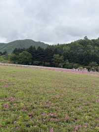 暑期2日遊日本必打卡景點合集
