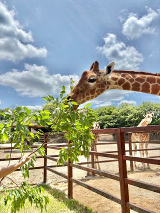 Pet-friendly family weekend trip top pick: Kasukabe, Saitama
