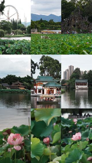 Daguan Tower, Kunming | a pond of lotus fragrance, half the city cool