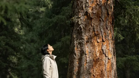 A must-visit for free! Songyuan Park is such a healing natural oxygen bar! — traveler post in Mohe