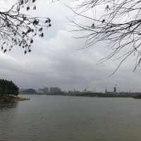 東莞松山湖踏青去