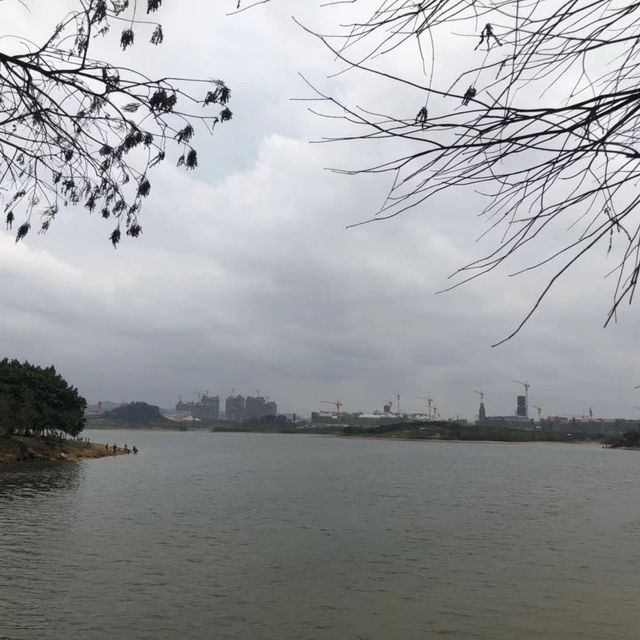東莞松山湖踏青去