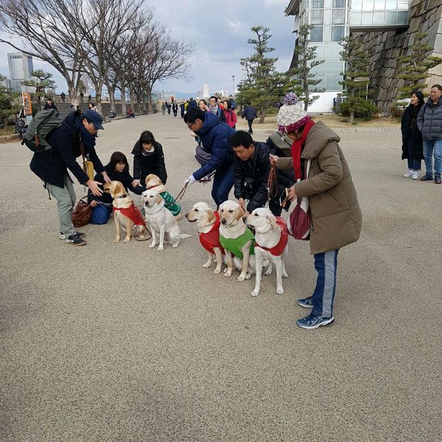 죽기 전에 봐야할 세계 역사유적 오사카성