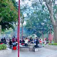蝴蝶灣沙灘，蝴蝶灣公園，燒烤場，超級熱門！