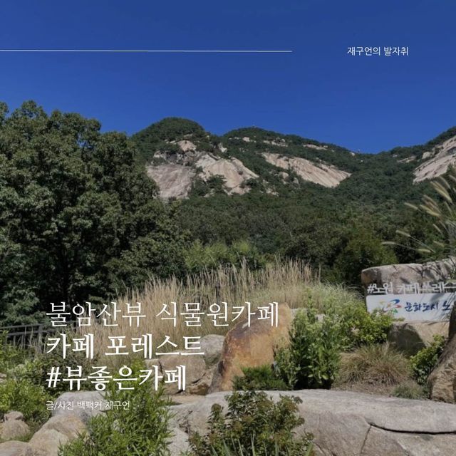 불암산뷰 식물원카페, 카페 포레스트⛰️