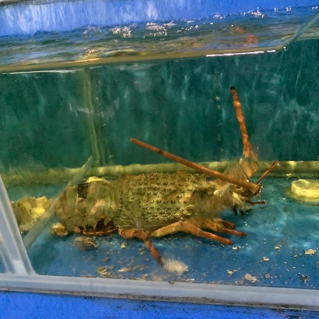 鴻昌釣蝦場