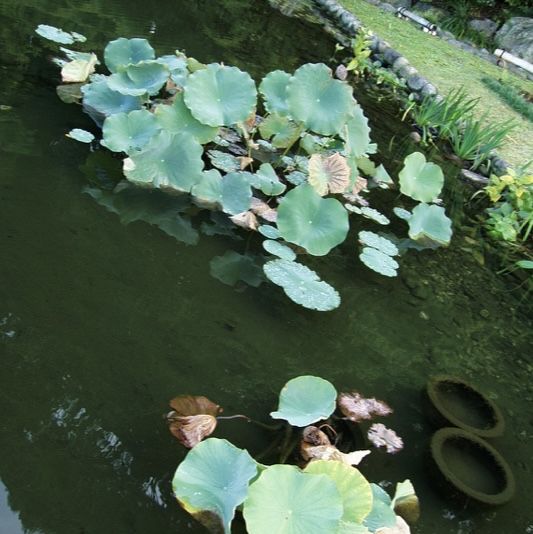 名古屋 - 「德川園」