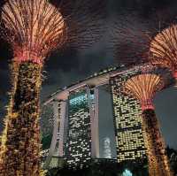 Clound Forest At Garden By the Bay