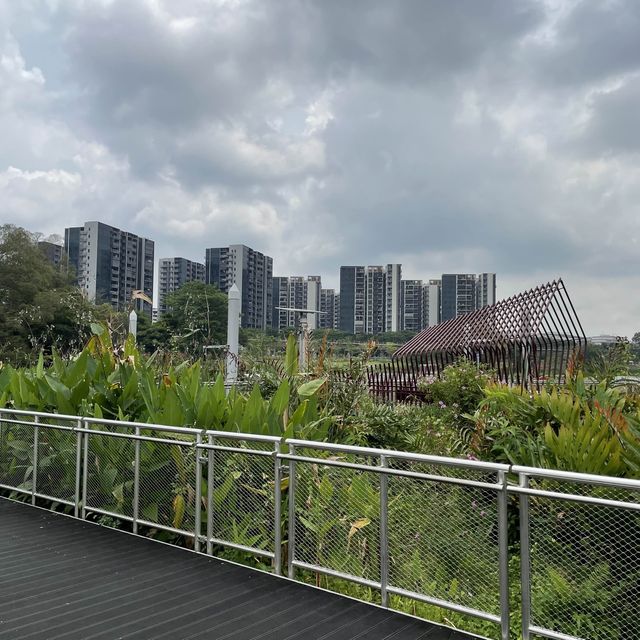 Lake side garden 