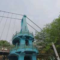 嘉義竹崎親水公園 天空走廊 行千吊橋（千禧橋）花棋木盛開美不勝收