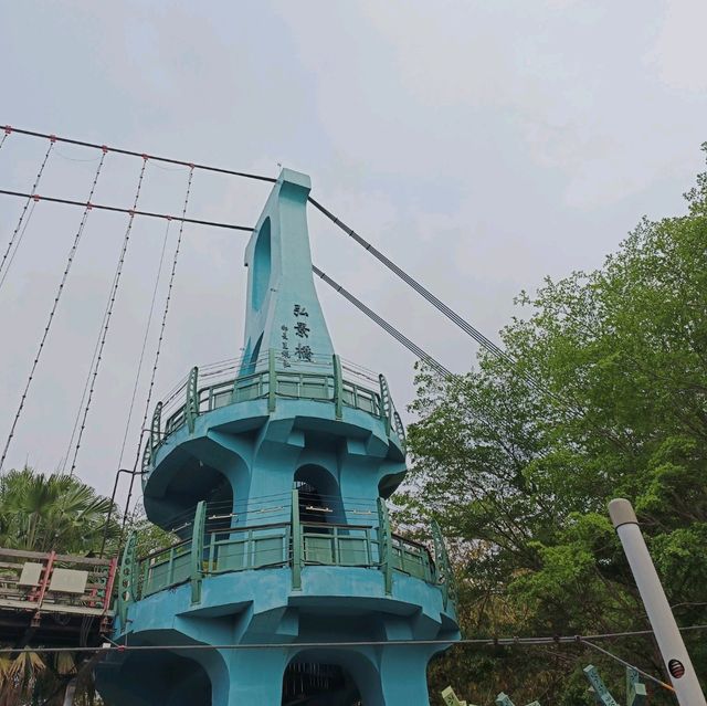 嘉義竹崎親水公園 天空走廊 行千吊橋（千禧橋）花棋木盛開美不勝收