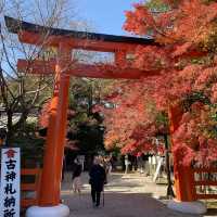 走訪世界文化遺產的「下鴨神社」