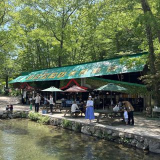 Hiroshima Prefecture Fishing pond Mountain stream tea farm