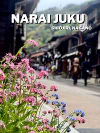 เที่ยวหมูบ้าน Narai Juku ในยุคสมัยเอโดะ   🇯🇵