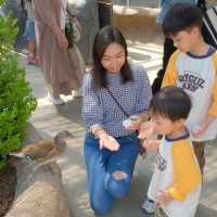 【 近距離親親小動物。神戶動物王國 】