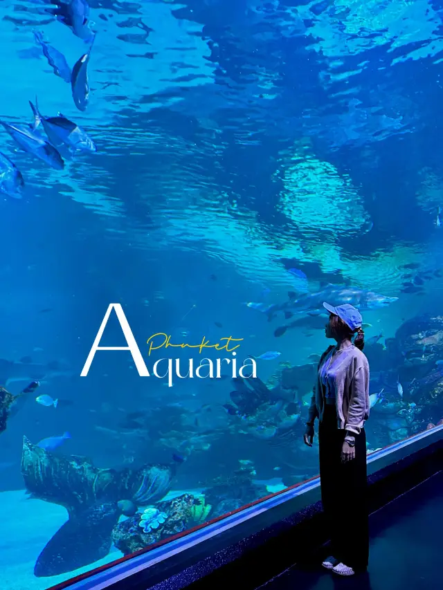 Aquaria Phuket อะควาเรียมมาตรฐานสากล