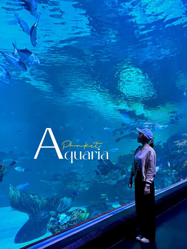 Aquaria Phuket อะควาเรียมมาตรฐานสากล
