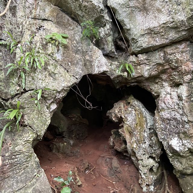 Gunung Keriang: A Scenic Hike With Paddy View