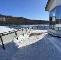 【北海道】室内からも見える！阿寒国際ツルセンター分館タンチョウ観察センター