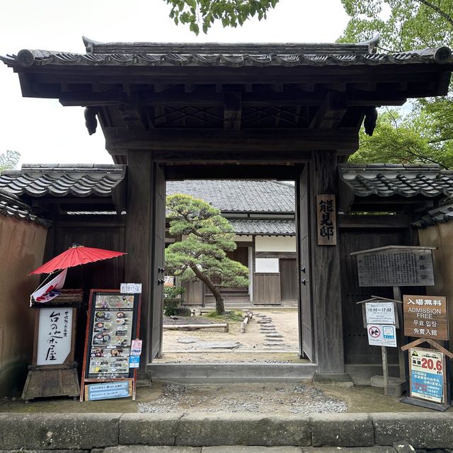 Dainochaya
