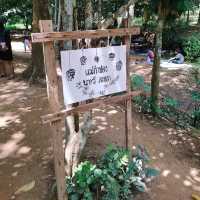 ชมบรรยากาศกลางหุบเขา @ แม่กำปอง นาทวี