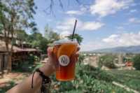 ผามกาแฟ | นา เขา เรา น่าน