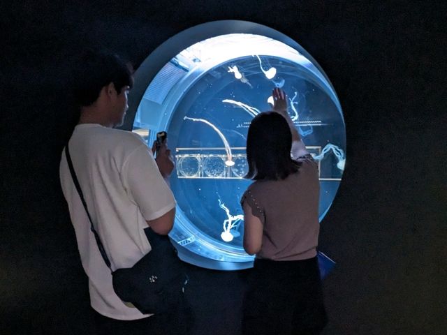 【札幌市内最大の水族館】夏休みにオススメ！ネイチャーアクアリウムも楽しめる水族館