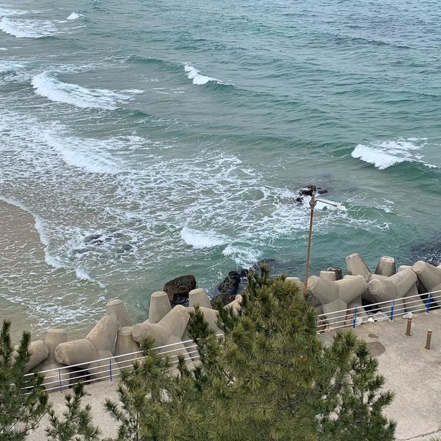 맑고 깨끗한 동해 바다를 한눈에 볼 수 있는 양양 하도대 전망대 🐠