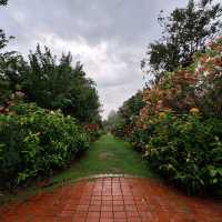 🌲 Lush Greens @ Penang Botanical Gardens