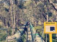 Serpentine Falls! 😎 Keep Running!💕🫣😁