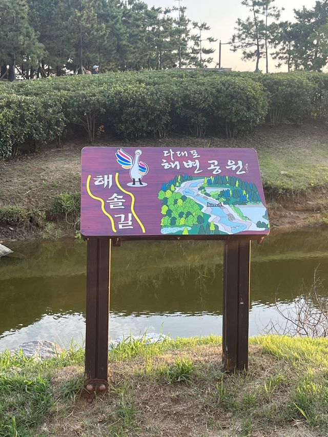 부산 인생여행지 해수욕장
