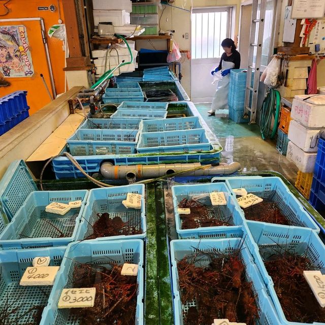 愛媛縣八幡濱Doya巿場炭火燒龍蝦