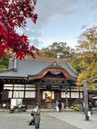 【東京都/深大寺】緑豊かな調布にある寺院