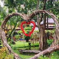 Indulge in The Natural Scenery of Binh Quoi!