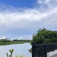 **中山翠亨國家濕地公園 | 欣欣向榮😍🌿💦 