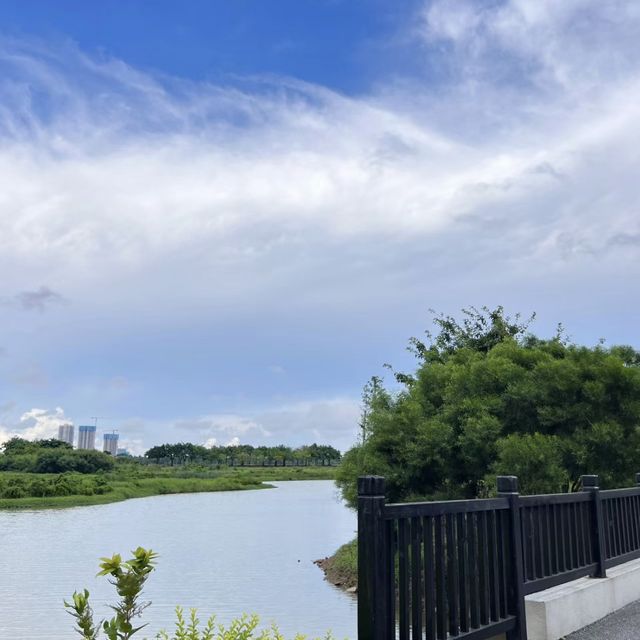 **中山翠亨國家濕地公園 | 欣欣向榮😍🌿💦 