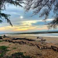 เดินเล่นริมหาด ที่อุทยานแห่งชาติสิรินาถ