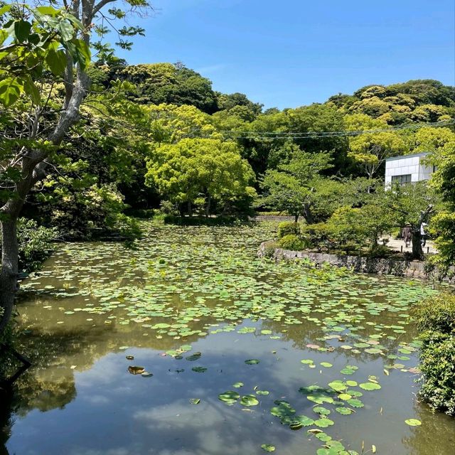 【鎌倉】金運アップパワースポット