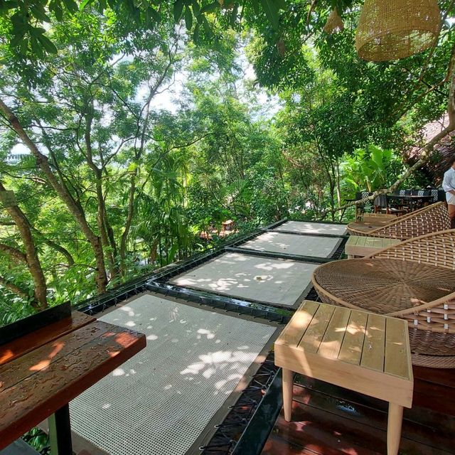 คาเฟ่ฟีลป่าในภูเก็ต